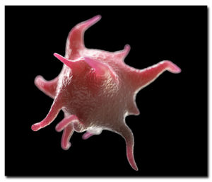 (PRP) Platelets - what are they?